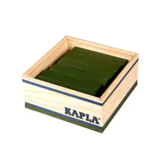 Kapla Steine 40 Grün