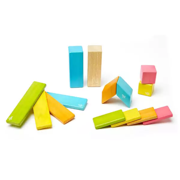 Tegu Magnetbausteine Block 14-teilig